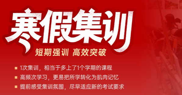 达芬奇画室2026寒假集训招生简章!短期集训,高效突破!